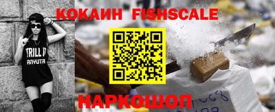 амф Камышлов