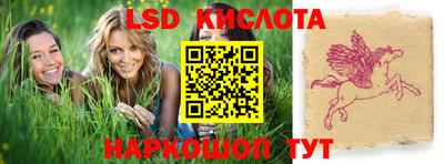 амф Камышлов