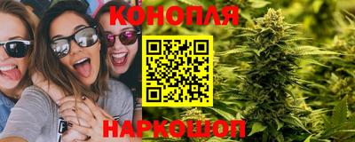 амф Камышлов