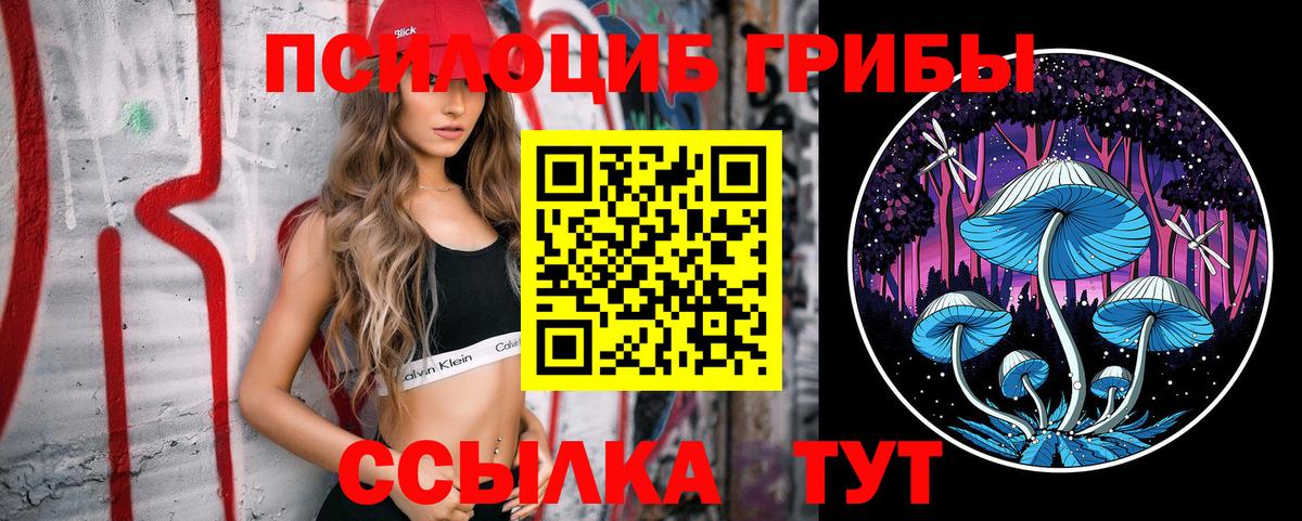 Галлюциногенные грибы прущие грибы Екатеринбург