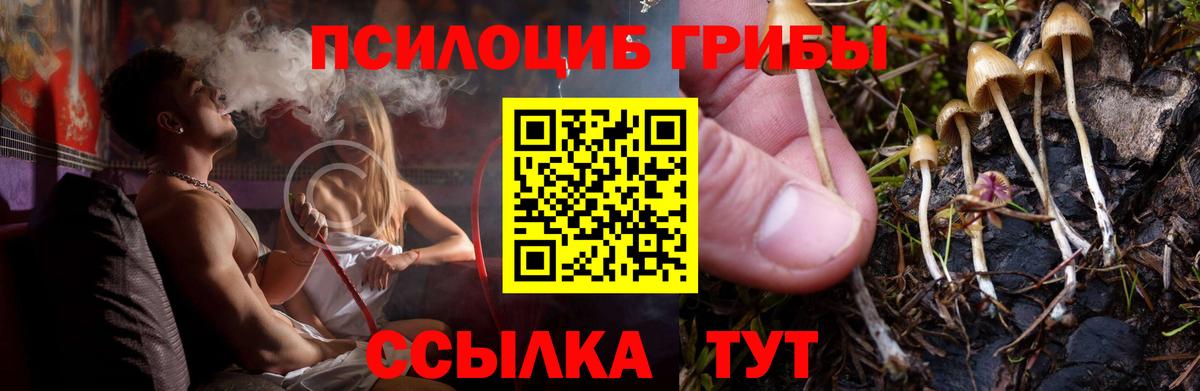 Псилоцибиновые грибы прущие грибы  Галлюциногенные грибы прущие грибы  Екатеринбург  Вход с VPN 